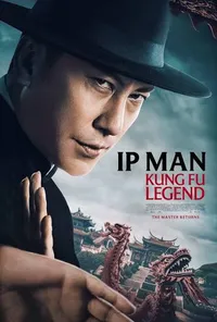 Ip Man Kung Fu Legend
